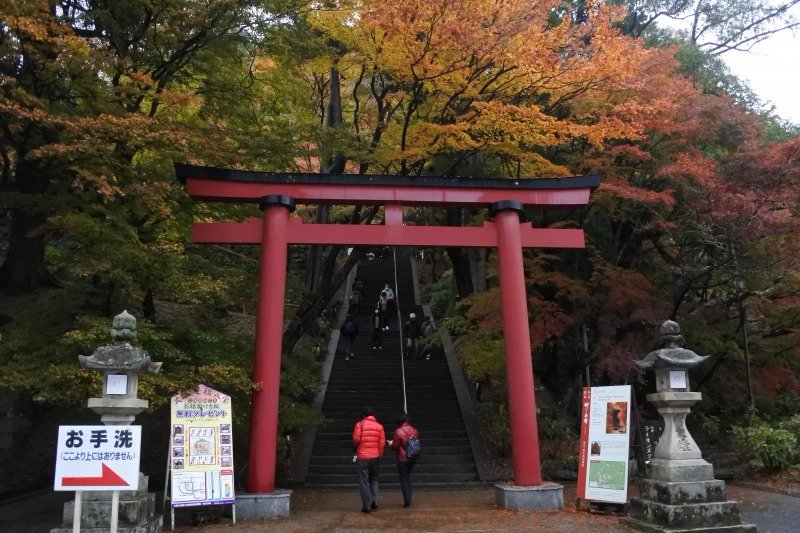 ⛩️ 단잔 신사(단잔진자) 이미지 9